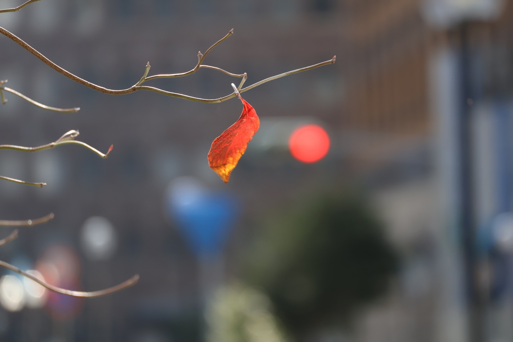 さよならをするために