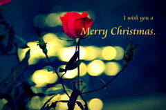 I wish...