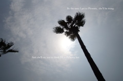 『恋はフェニックス』