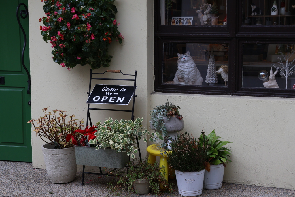 雑貨屋の店先