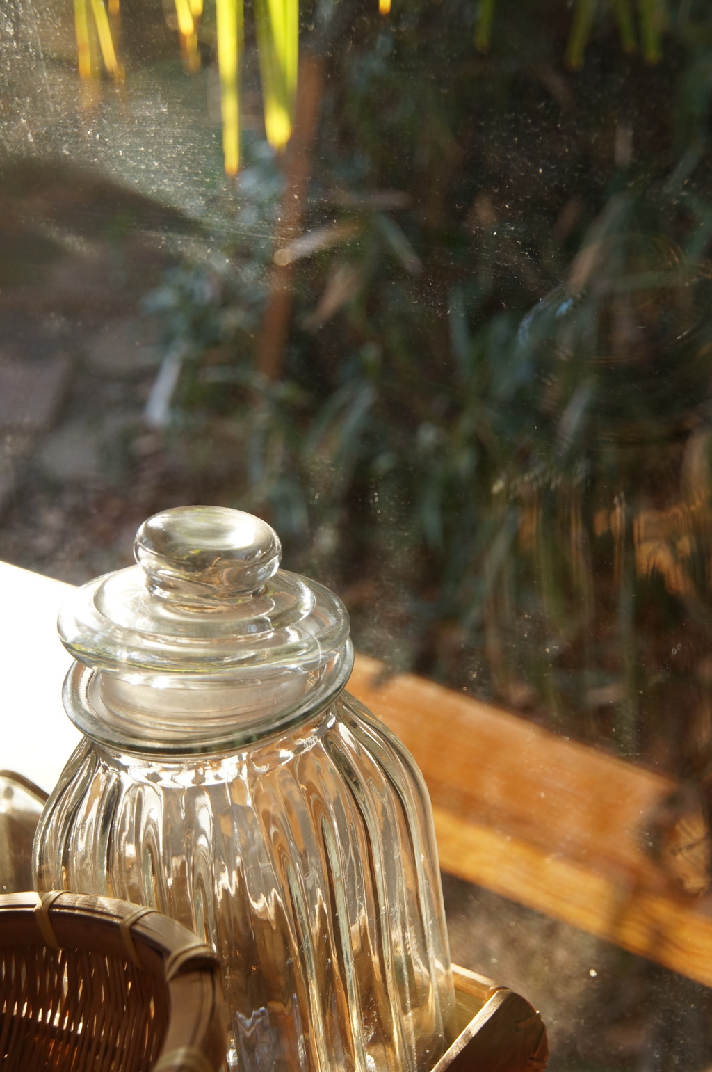 小春おばさんの家