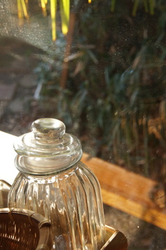 小春おばさんの家