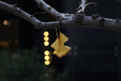 落葉のカウントダウン