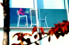 日差しの強い窓辺