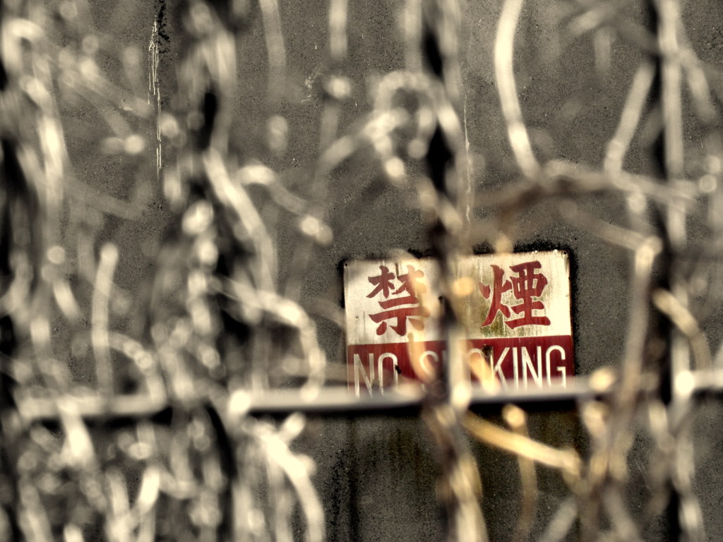 第三突堤 #5
