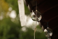 梅雨入りの軒下