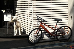 やぎさんゆうびん