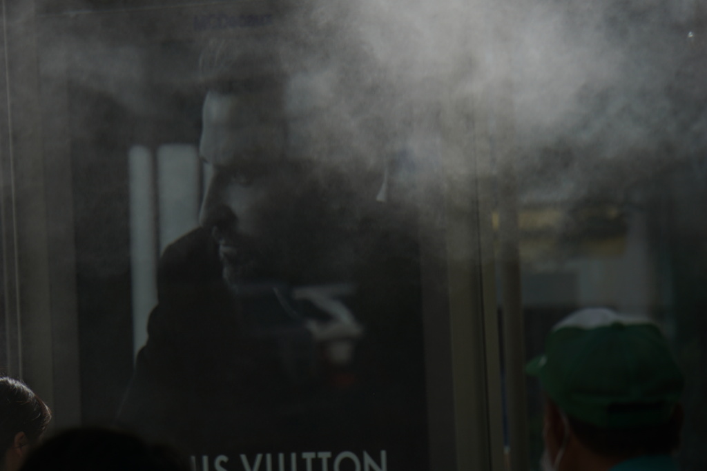 In the Mist