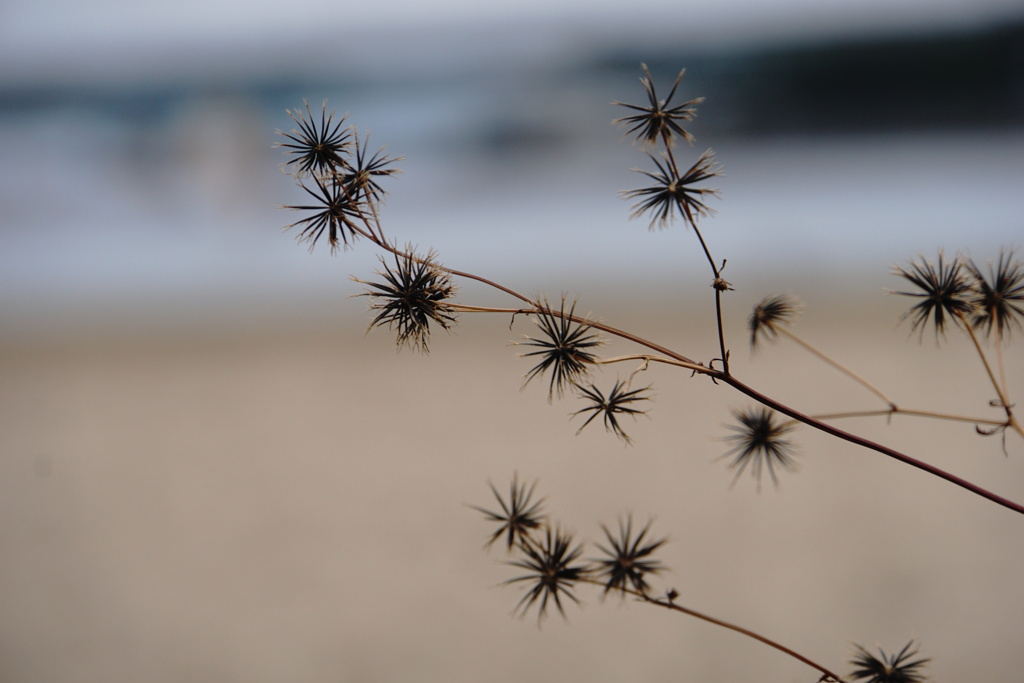 冬の花火