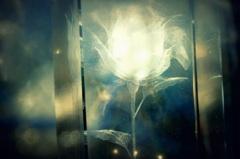 Crystal Rose