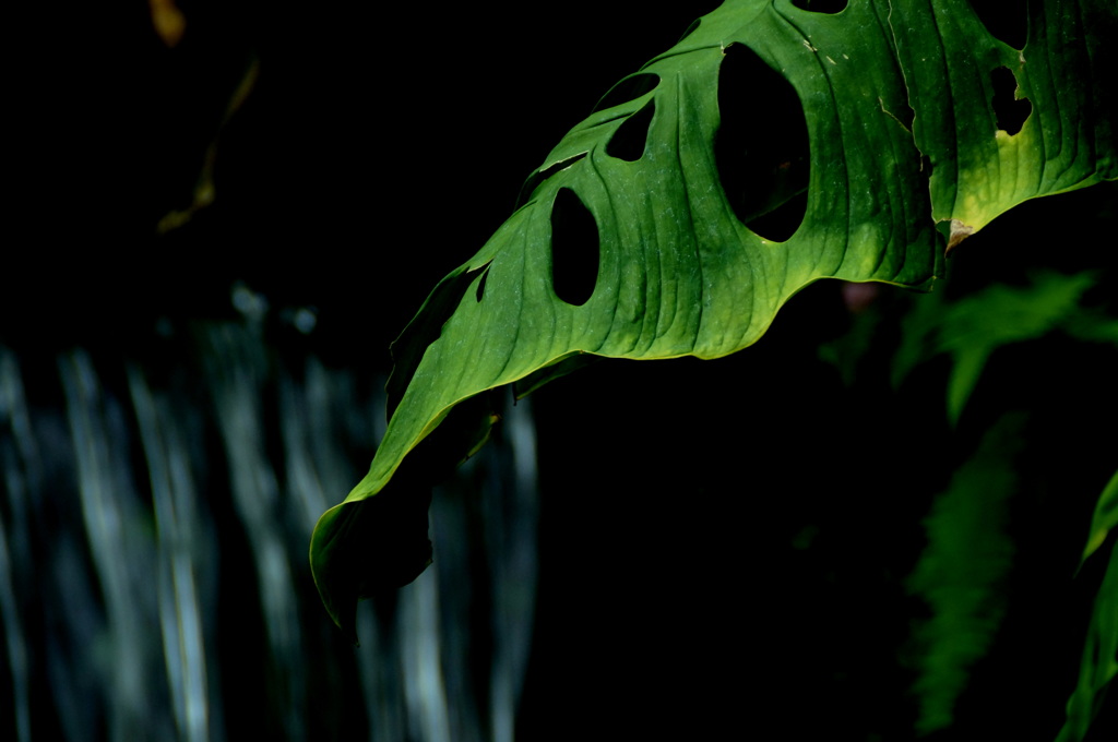 哀しみのペルソナ