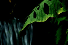 哀しみのペルソナ