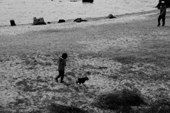 仔犬のさんぽ
