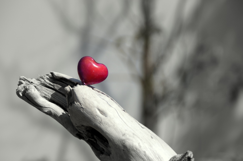 ハートのなる木