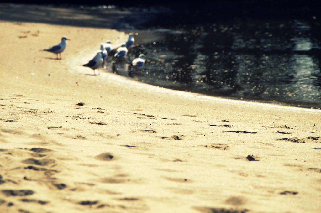 on the beach