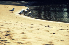 on the beach