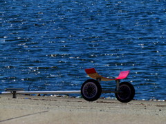 ヨットハーバーにて