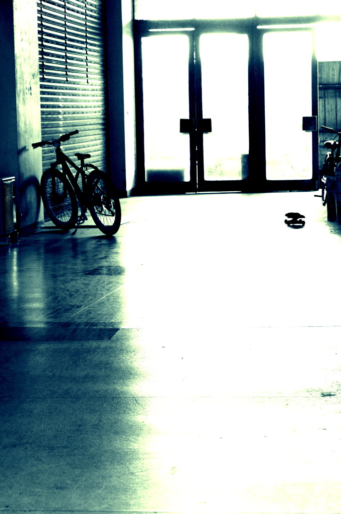 contre-jour