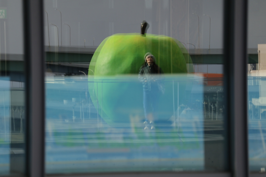 現実の虚像