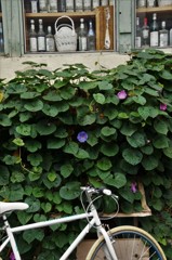 季節を引き継ぐ壁