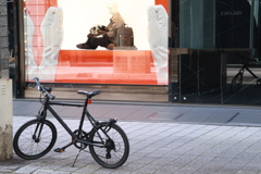 春は自転車に乗って