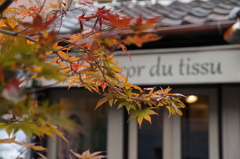 色づき始めた街