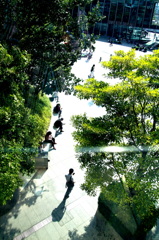 夏の通り道