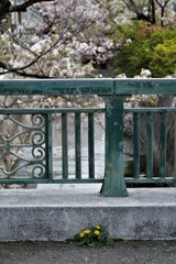 ささやかな存在感