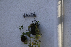 猫の居る家（晩秋）