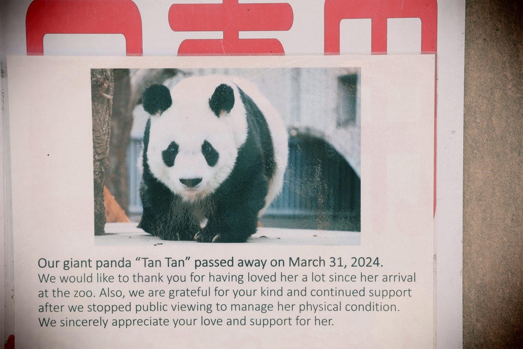 そして誰もいなくなる