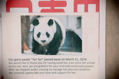 そして誰もいなくなる