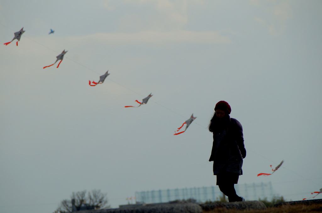 凧が上がる空を