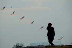 凧が上がる空を