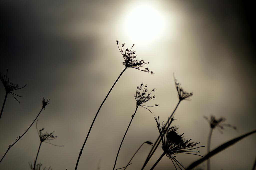 太陽はもう輝かない