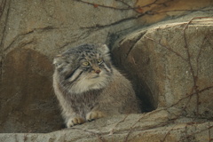 春はどこから・・？