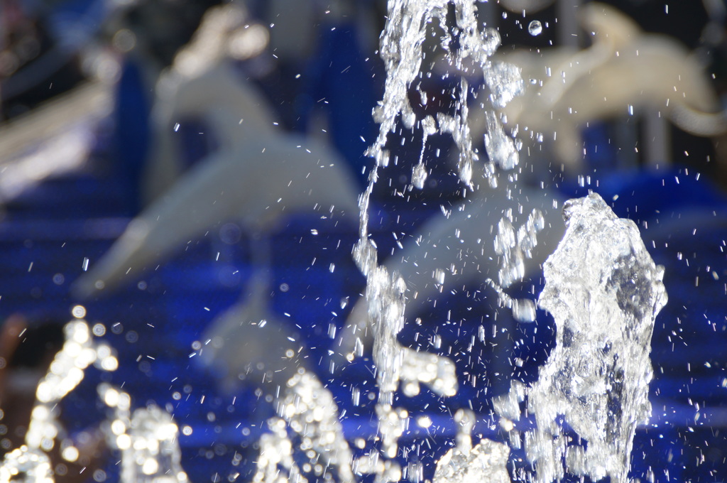 ドルフィン・ジャンプ