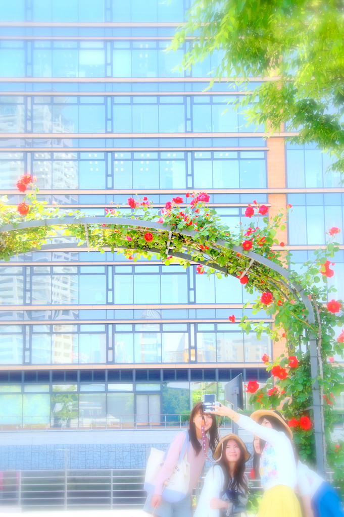 日曜日のバラ園