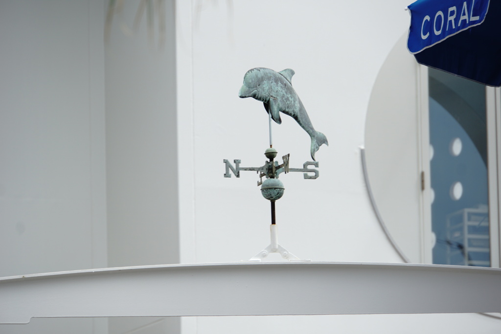 夏の思い出（西宮マリーナ）