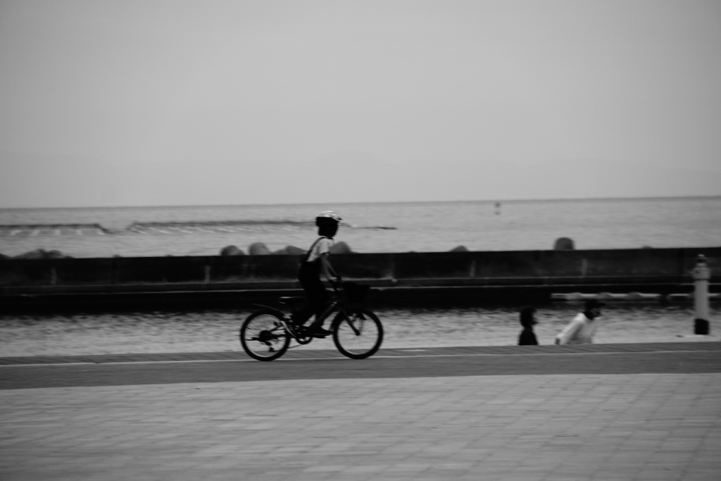 少年の見る海