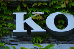 蔦の絡まるKO