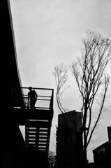 冬空への階段