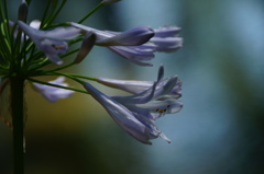 君のことを想うとき