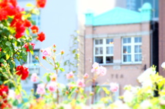 薔薇園の午後