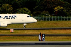 カラスのお見送り