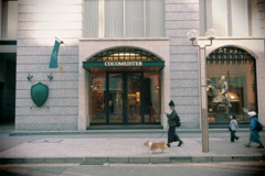 歩き慣れた散歩道