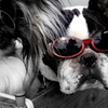salty dogs