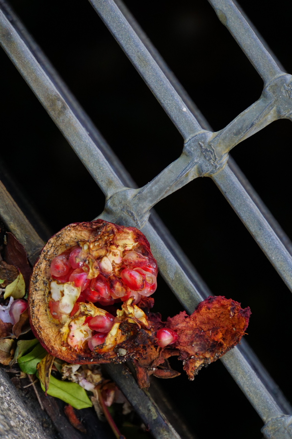 柘榴という存在