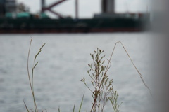 Sittin' On The Dock Of The Bay