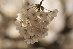 房
