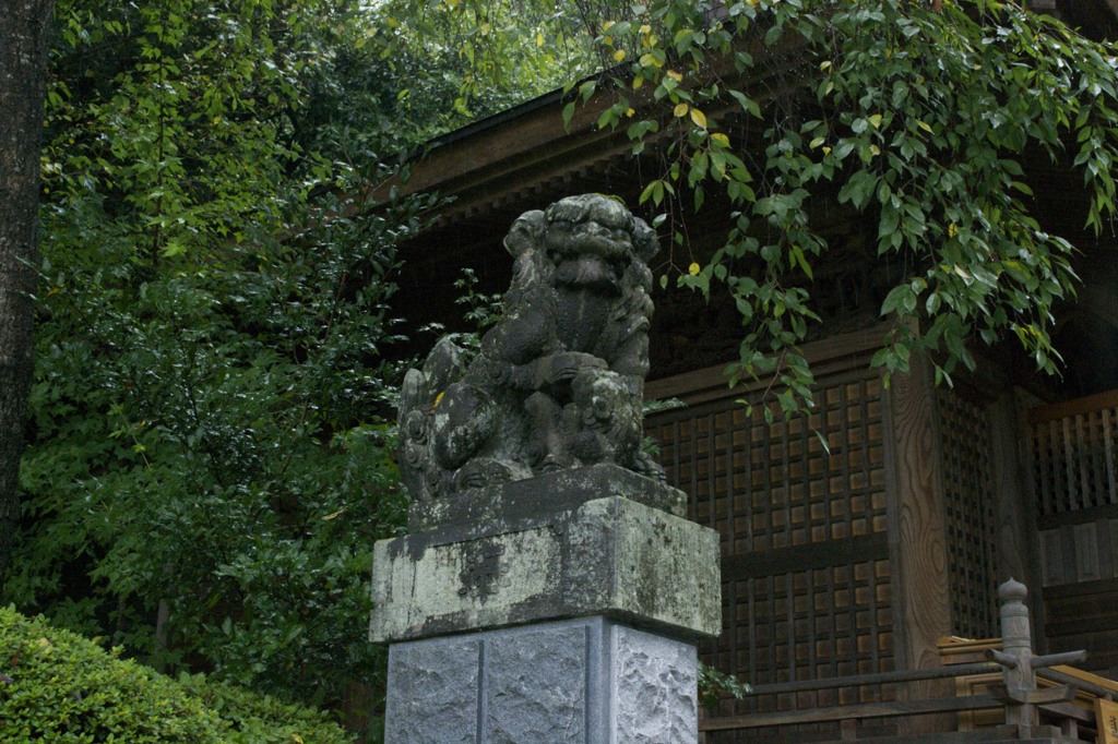 狛犬
